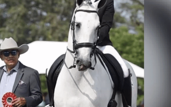 Marie horse riding lessons: image of Marie on a white horse at a competition winning a badge
