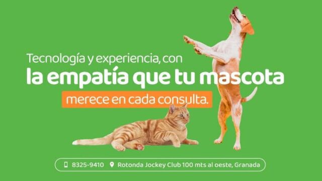 Steps Veterinary Clinic in Granada – vet clinic & pet relocation services