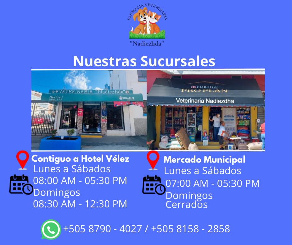 Clinic pharmacy & veterinary facility “Farmacia Veterinaria Nadiezhda” in San Juan del Sur