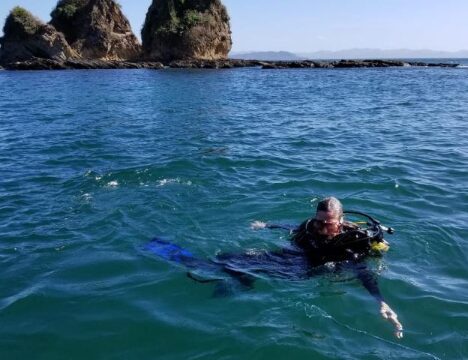 Organic farm produce and permaculture gardens at Armonia Farm in Escamequita